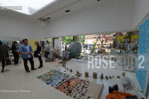 Venice 28 may 2013 - 55th Exhibition Biennale Gardens Main Pavillon USA Pavillon Sarah Szee Work - artist arte ©Graziano Arici/Rosebud2