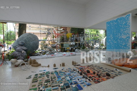 Venice 28 may 2013 - 55th Exhibition Biennale Gardens Main Pavillon USA Pavillon Sarah Szee Work - artist arte ©Graziano Arici/Rosebud2