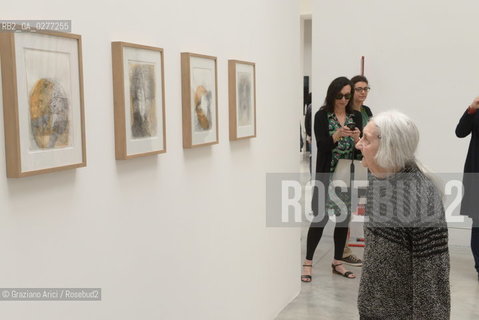 Venice 28 may 2013 - Il Palazzo Enciclopedico 55th Exhibition Biennale Gardens  Golden Lion for Lifetime Achievement  Marisa Merz - artist arte ©Graziano Arici/Rosebud2