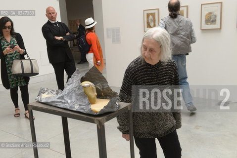 Venice 28 may 2013 - Il Palazzo Enciclopedico 55th Exhibition Biennale Gardens  Golden Lion for Lifetime Achievement  Marisa Merz - artist arte ©Graziano Arici/Rosebud2