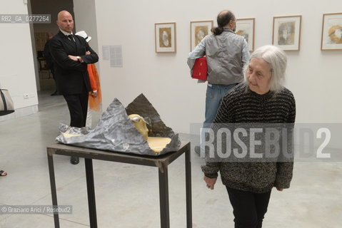 Venice 28 may 2013 - Il Palazzo Enciclopedico 55th Exhibition Biennale Gardens  Golden Lion for Lifetime Achievement  Marisa Merz - artist arte ©Graziano Arici/Rosebud2