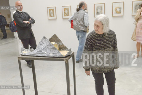 Venice 28 may 2013 - Il Palazzo Enciclopedico 55th Exhibition Biennale Gardens  Golden Lion for Lifetime Achievement  Marisa Merz - artist arte ©Graziano Arici/Rosebud2