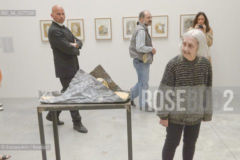 Venice 28 may 2013 - Il Palazzo Enciclopedico 55th Exhibition Biennale Gardens  Golden Lion for Lifetime Achievement  Marisa Merz - artist arte ©Graziano Arici/Rosebud2