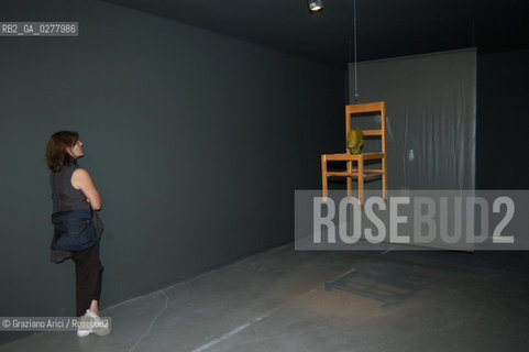 VENEZIA8/06/05 - 51 ESPOSIZIONE INTERNAZIONALE DARTE - INSTALLAZIONE DI BRUCE NAUMAN ©Graziano Arici/Rosebud2