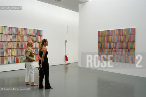 VENEZIA8/06/05 - 51 ESPOSIZIONE INTERNAZIONALE DARTE -  LA SALA  DI BERNARD FRIZE ©Graziano Arici/Rosebud2