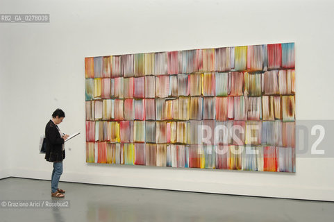 VENEZIA8/06/05 - 51 ESPOSIZIONE INTERNAZIONALE DARTE -  LA SALA  DI BERNARD FRIZE ©Graziano Arici/Rosebud2