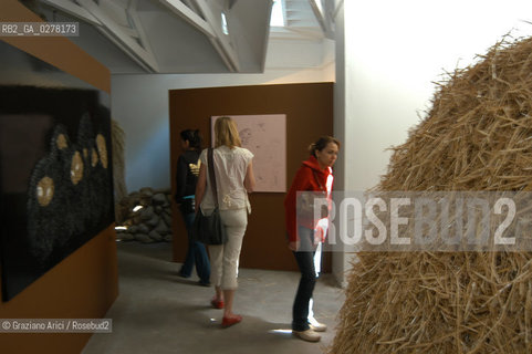 VENEZIA8/06/05 - 51 ESPOSIZIONE INTERNAZIONALE DARTE - IL PADIGLIONE ISLANDESE - THE ICELAND PAVILLION : THE INSTALLATION OF THE ARTIST GABRIELA FRIDRIKSDOTTIR © GRAZIANO ARICI BIENNALE GIARDINI ©Graziano Arici/Rosebud2