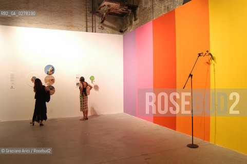 VENEZIA 8/06/05 - 51 ESPOSIZIONE INTERNAZIONALE DARTE - LARSENALE: THE INSTALLATION OF THE ARTIST SERGIO VEGA: PARADISE IN THE NEW WORD  ©Graziano Arici/Rosebud2