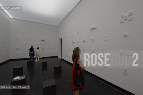 Venice 04 june 2014 14th International Architecture Exhibition Biennale Architettura Gardens of Biennale Giardini Fundamentals : Austria Pavillon Plenum. Places of Power ©Graziano Arici/Rosebud2