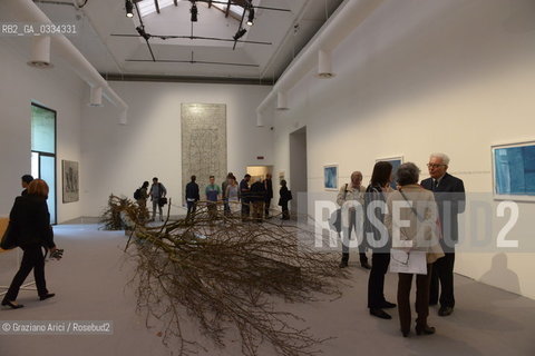 56th International Art Exibition  :  Central Pavillon Artist Runo Lagomarsino arte artista ©Graziano Arici/Rosebud2