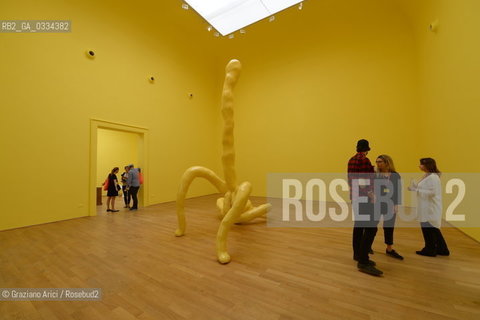 56th International Art Exibition  :  British Pavillon artist Sarah Lucas arte artista ©Graziano Arici/Rosebud2