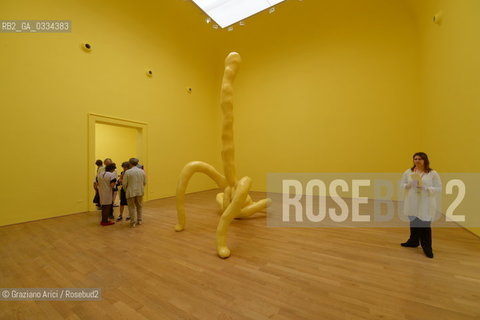 56th International Art Exibition  :  British Pavillon artist Sarah Lucas arte artista ©Graziano Arici/Rosebud2