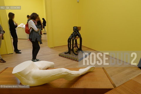 56th International Art Exibition  :  British Pavillon artist Sarah Lucas arte artista ©Graziano Arici/Rosebud2