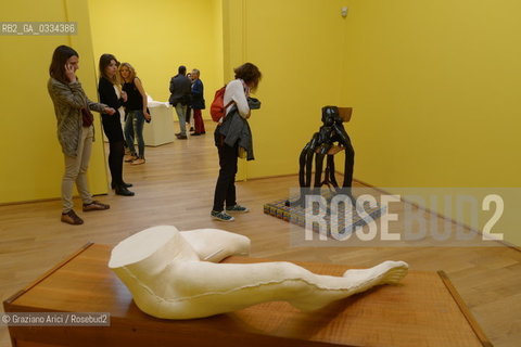 56th International Art Exibition  :  British Pavillon artist Sarah Lucas arte artista ©Graziano Arici/Rosebud2