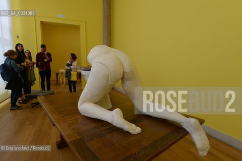 56th International Art Exibition  :  British Pavillon artist Sarah Lucas arte artista ©Graziano Arici/Rosebud2