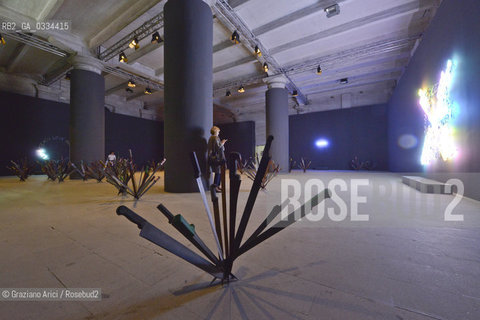 56th International Art Exibition  :   arte artista ©Graziano Arici/Rosebud2