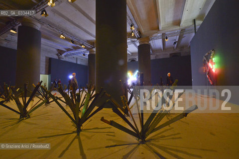 56th International Art Exibition  :   arte artista ©Graziano Arici/Rosebud2