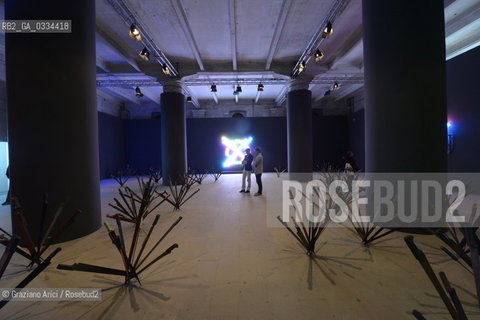 56th International Art Exibition  : Arsenale artist Bruce Nauman and Adel Abdessemed  arte artista ©Graziano Arici/Rosebud2