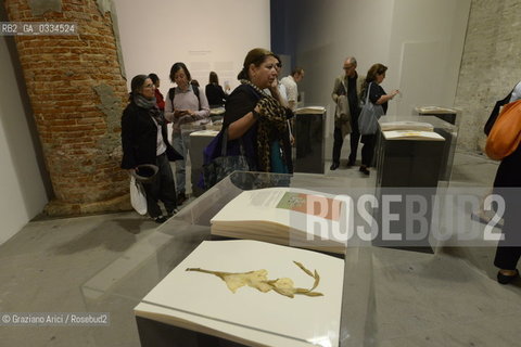 6/05/2015 - 56th International Art Exibition  :  Arsenale   Artist  Taryn Simon arte artista ©Graziano Arici/Rosebud2