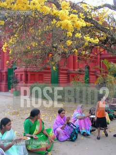 Bangalore, Karnataka, India, people and colourful tree ©Grazia Ippolito/Rosebud2