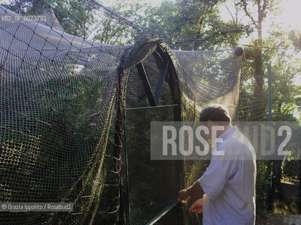 Painter Tullio Pericoli in his country house in Rosara, Ascoli Piceno, opening the bird-cage ©Grazia Ippolito/Rosebud2