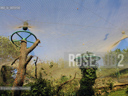 Country house near Ascoli Piceno, bird-cage of the painter Tullio Pericoli ©Grazia Ippolito/Rosebud2