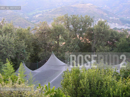 Painter Tullio Pericolis birds cage in his country house near Ascoli Piceno ©Grazia Ippolito/Rosebud2