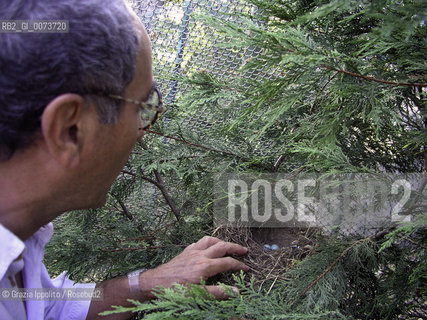 Painter Tullio Pericolis birds cage in his country house , near Ascoli Piceno ©Grazia Ippolito/Rosebud2