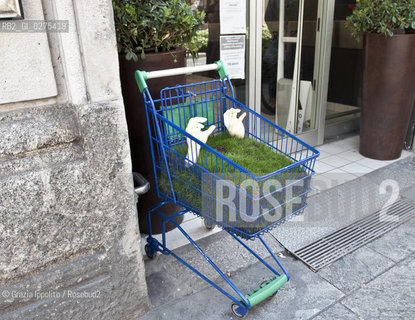 Arte in Sarpi, Milan, via P.Sarpi during the Art Festival, from 4-5 to 18-5-2013, emiliano Rubinaccis works at Carrefour ©Grazia Ippolito/Rosebud2