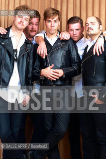 the HIVES.`9/2012. ©DALLE APRF/Rosebud2