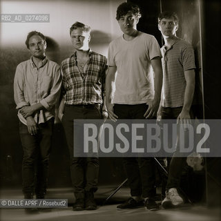 GRIZZLY BEAR. ©DALLE APRF/Rosebud2