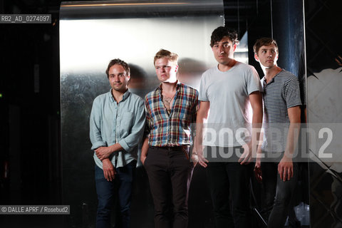 GRIZZLY BEAR. ©DALLE APRF/Rosebud2