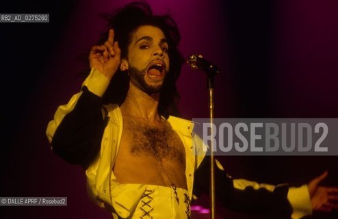 Prince 06.1992 HH live Hochformat..Copyright by Arcpic - DALLE ©DALLE APRF/Rosebud2