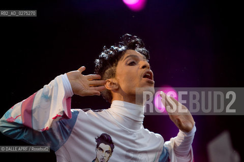 Prince . juillet 2010. ©DALLE APRF/Rosebud2
