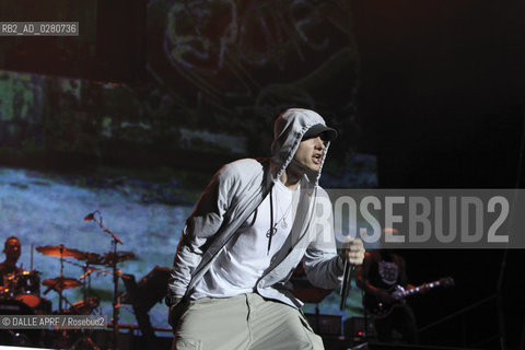 EMINEM.8/2013. ©DALLE APRF/Rosebud2