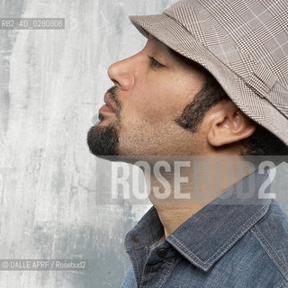 BEN HARPER. ©DALLE APRF/Rosebud2