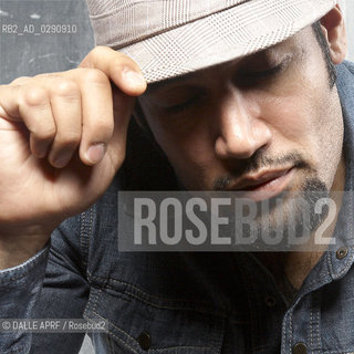 BEN HARPER. ©DALLE APRF/Rosebud2