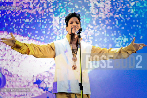 PRINCE. ©DALLE APRF/Rosebud2