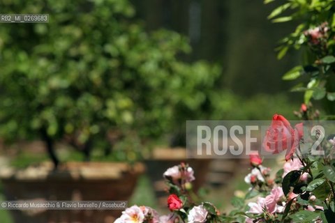 Castel Gandolfo (Roma) Maggio 2005: .Giardini Vaticani, Fattoria e Palazzo Papale..Ph Riccardo Musacchio e Flavio Ianniello.
 ©Riccardo Musacchio & Flavio Ianniello/Rosebud2