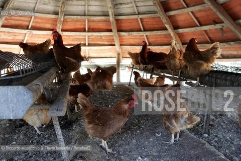 Castel Gandolfo (Roma) Maggio 2005: .Giardini Vaticani, Fattoria e Palazzo Papale..Ph Riccardo Musacchio e Flavio Ianniello
 ©Riccardo Musacchio & Flavio Ianniello/Rosebud2