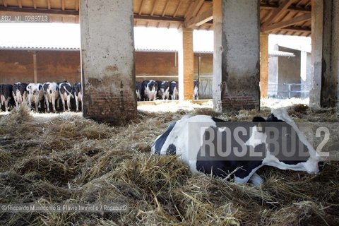 Castel Gandolfo (Roma) Maggio 2005: .Giardini Vaticani, Fattoria e Palazzo Papale..Ph Riccardo Musacchio e Flavio Ianniello
 ©Riccardo Musacchio & Flavio Ianniello/Rosebud2