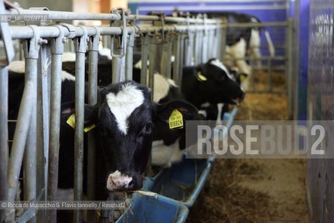 Castel Gandolfo (Roma) Maggio 2005: .Giardini Vaticani, Fattoria e Palazzo Papale..Ph Riccardo Musacchio e Flavio Ianniello
 ©Riccardo Musacchio & Flavio Ianniello/Rosebud2