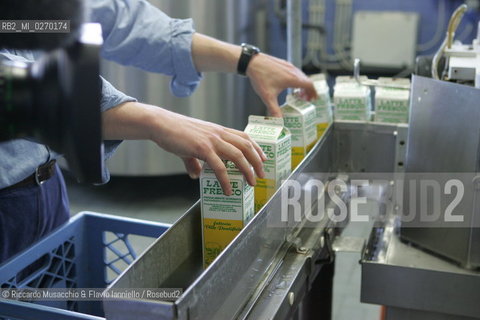 Castel Gandolfo, Rome May 20 2005 Dairy farming of Pontifical Villas of Castel Gandolfo, the summer residence of the Pope.  ©Riccardo Musacchio & Flavio Ianniello/Rosebud2