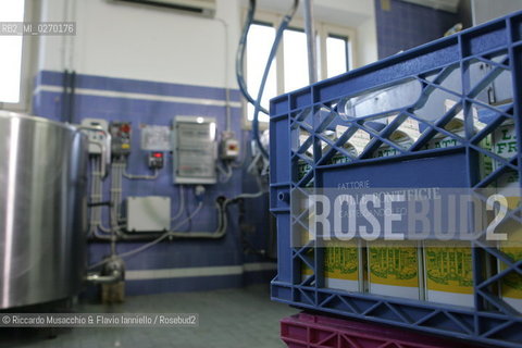 Castel Gandolfo, Rome May 20 2005 Dairy farming of Pontifical Villas of Castel Gandolfo, the summer residence of the Pope.  ©Riccardo Musacchio & Flavio Ianniello/Rosebud2