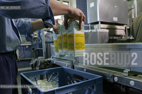 Castel Gandolfo, Rome May 20 2005 Dairy farming of Pontifical Villas of Castel Gandolfo, the summer residence of the Pope.  ©Riccardo Musacchio & Flavio Ianniello/Rosebud2