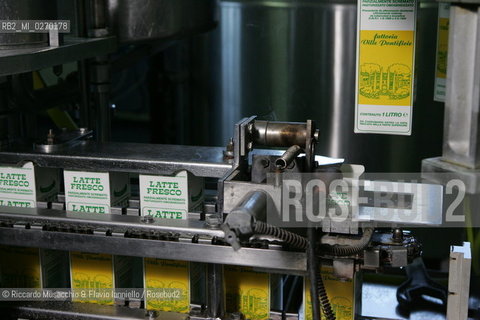 Castel Gandolfo, Rome May 20 2005 Dairy farming of Pontifical Villas of Castel Gandolfo, the summer residence of the Pope.  ©Riccardo Musacchio & Flavio Ianniello/Rosebud2