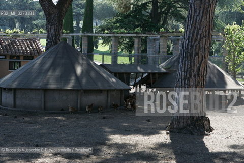 Castel Gandolfo, Rome May 20 2005 chicken coop on Pontifical Villas of Castel Gandolfo, the summer residence of the Pope.  ©Riccardo Musacchio & Flavio Ianniello/Rosebud2