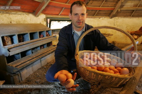 Castel Gandolfo, Rome May 20 2005 eggs from the Farm of Pontifical Villas of Castel Gandolfo the summer residence of the Pope.  ©Riccardo Musacchio & Flavio Ianniello/Rosebud2