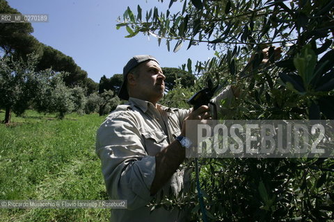 Castel Gandolfo, Rome May 20 2005 gardener of Pontifical Villas of Castel Gandolfo the summer residence of the Pope.  ©Riccardo Musacchio & Flavio Ianniello/Rosebud2