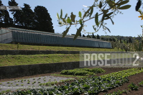 Castel Gandolfo, Rome May 20 2005 vegetable garden and greenhouse of Pontifical Villas of Castel Gandolfo the summer residence of the Pope.  ©Riccardo Musacchio & Flavio Ianniello/Rosebud2